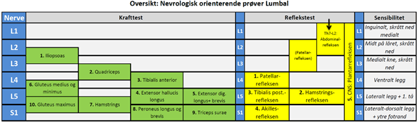 Lumbal skiveprolaps del 5 – Generelt om&nbsp;undersøkelse