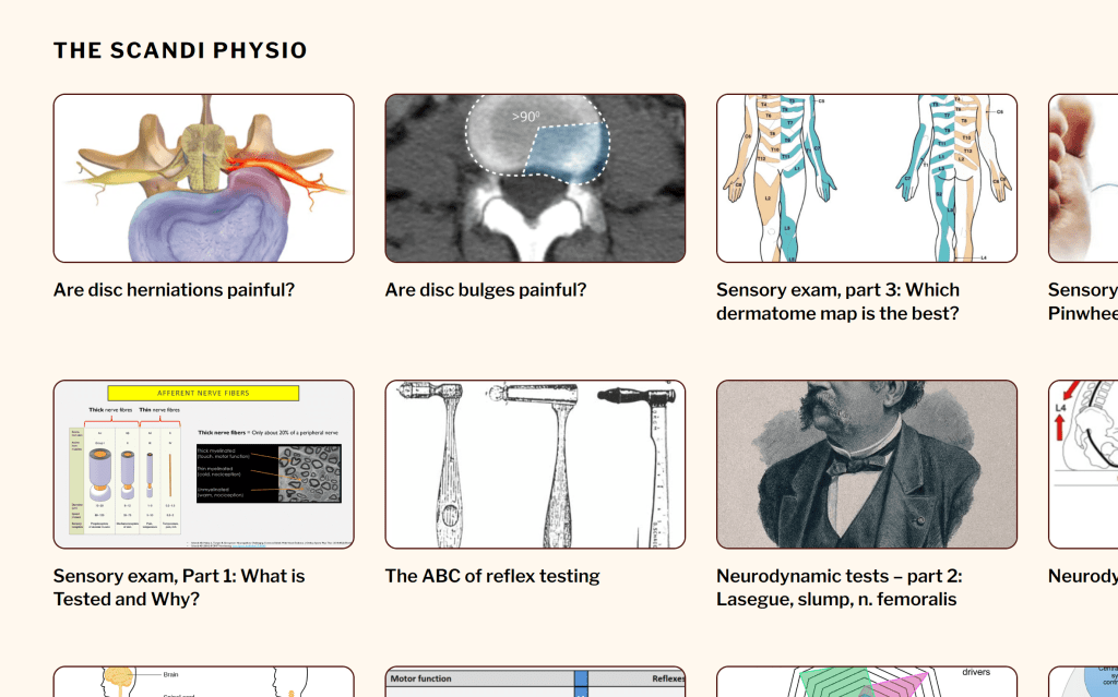 Manuellterapeuten.net – nå også på&nbsp;engelsk